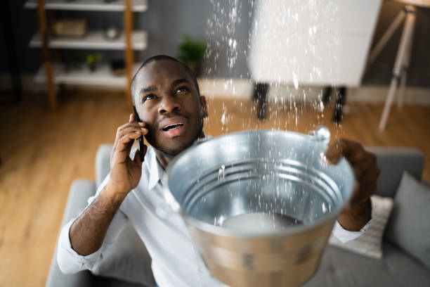 Best Water damage contractors near me  in Groveland, ID