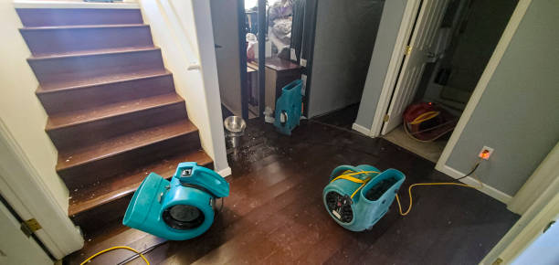 Best Flood damage cleanup  in Groveland, ID