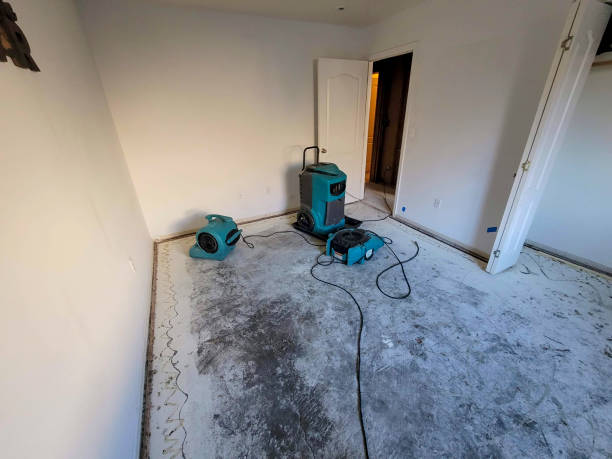 Best Ceiling water damage repair  in Groveland, ID