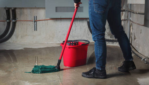 Best Water damage restoration near me  in Groveland, ID