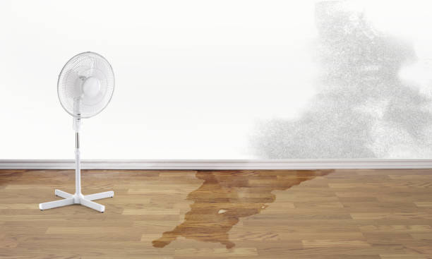 Best Emergency water damage restoration  in Groveland, ID