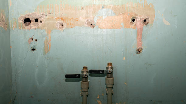 Best Mold removal after water damage  in Groveland, ID