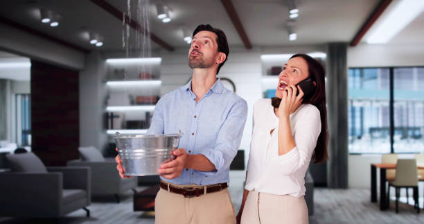 Best Water damage cleanup near me  in Groveland, ID